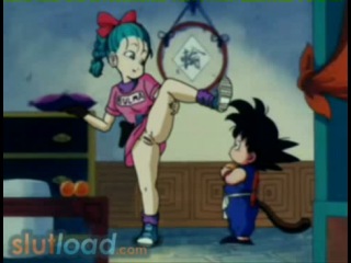 Dragon ball z | bulma & goku