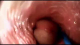 Pc Camera Inside Of The Labia During Hook Up In Missionary Stance, Vagina, Porn, 18+, Adults 