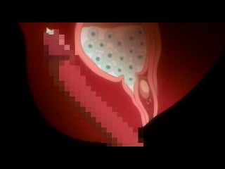 Mouryou No Nie хентай 3d порно аниме приятного просмотра минет секс тентакли