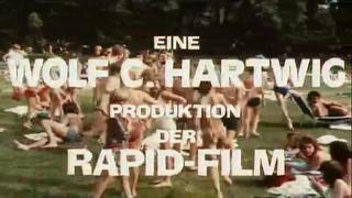 Доклад о ранней зрелости fruhreifen report (1973)