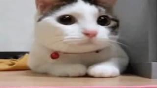 Порно ляпы № 10 #секс #порно #пошлость #порно прикол