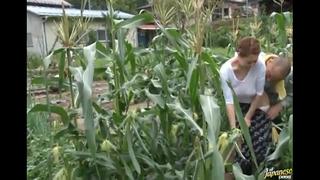 Chinese Real Home Sex In Nature 