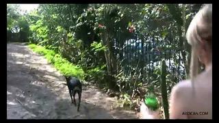 Tanner Mayes (tanner Mays) Lesbi, Island Erotica, Alexa, Brea Bennett, Blue Angel, Kacey Jordan, Going Knuckle Deep, Cuming 