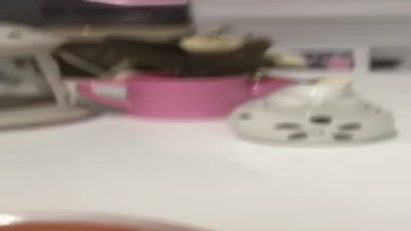 Erkek kardeşinin yanından show yapan li̇seli̇