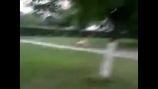 Молодые из липецка (240p) mp4