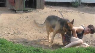 The shepherd is trying to fuck a drunk 