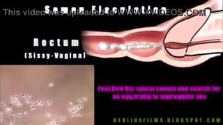 How to achieve anal orgasm is mandatory for viewing Sissy Tranny Trap Climax Cum Fuck Fest Slut 