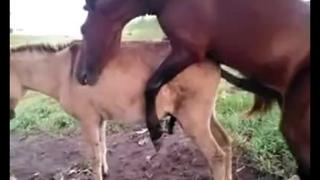 Klassik chuqur blowjob