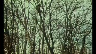 ~ La Maison Des Fantasmes ~ (alpha France , 1978)