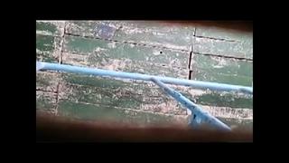 Kazakh Stars Toilets (internet) 