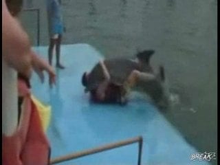 Sex with a dolphin))) 