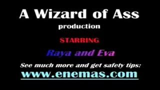 Out Of 25 (medical Examination) 