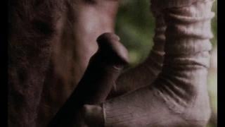 Contes Immoraux (1973)