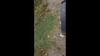 Bokep indo viral! liadani prank ojol lagi… mp4 watch online