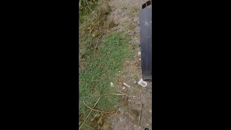 Bokep indo siskaeee ojol prank becak motor mp4 watch online 