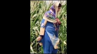 Aliza Sehar ( 720 X 480 ) Mp4