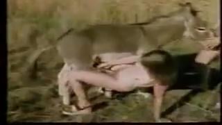 Lovers Of Sex With Donkeys 