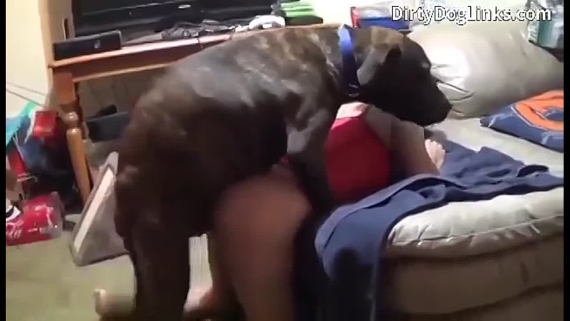 Received 393511013634616 mp4